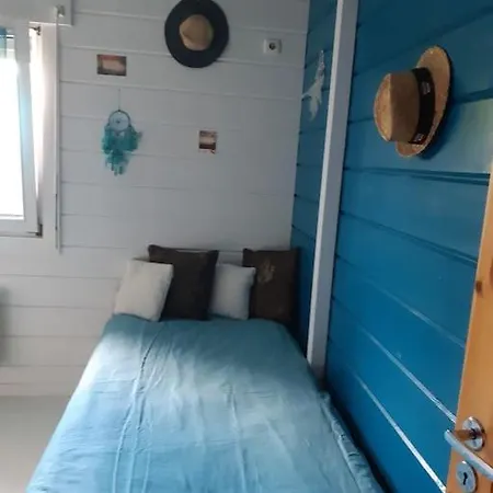 Avec Piscine Sur Le Bassin Marennes Oleron Prázdninový dům